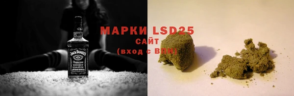 индика Беломорск