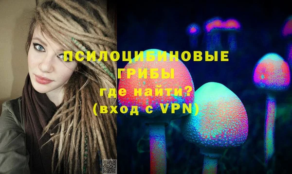 индика Беломорск