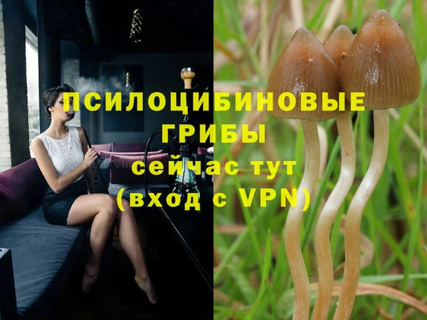 мяу мяу кристалл Белокуриха