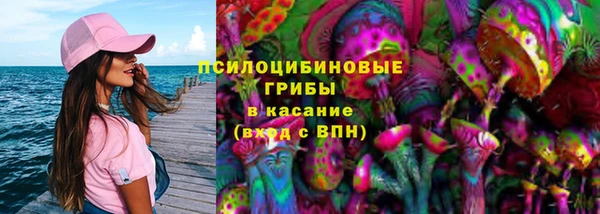 индика Беломорск