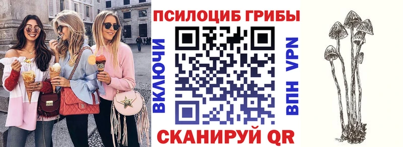 Галлюциногенные грибы Cubensis Окуловка